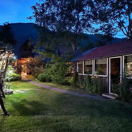 Casa De Vacanta Vidrighin Rau Sadului Eksteriør billede