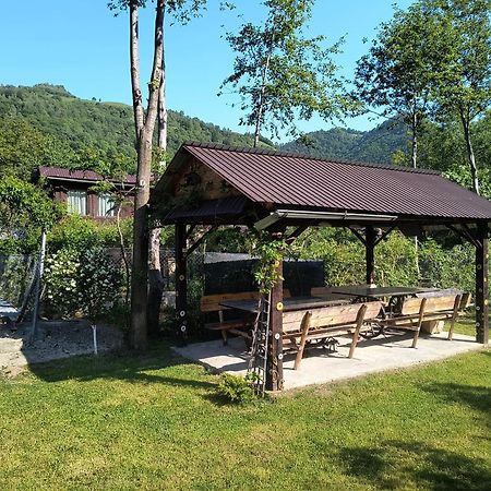 Casa De Vacanta Vidrighin Rau Sadului Eksteriør billede
