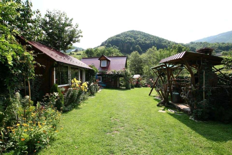 Casa De Vacanta Vidrighin Rau Sadului Eksteriør billede