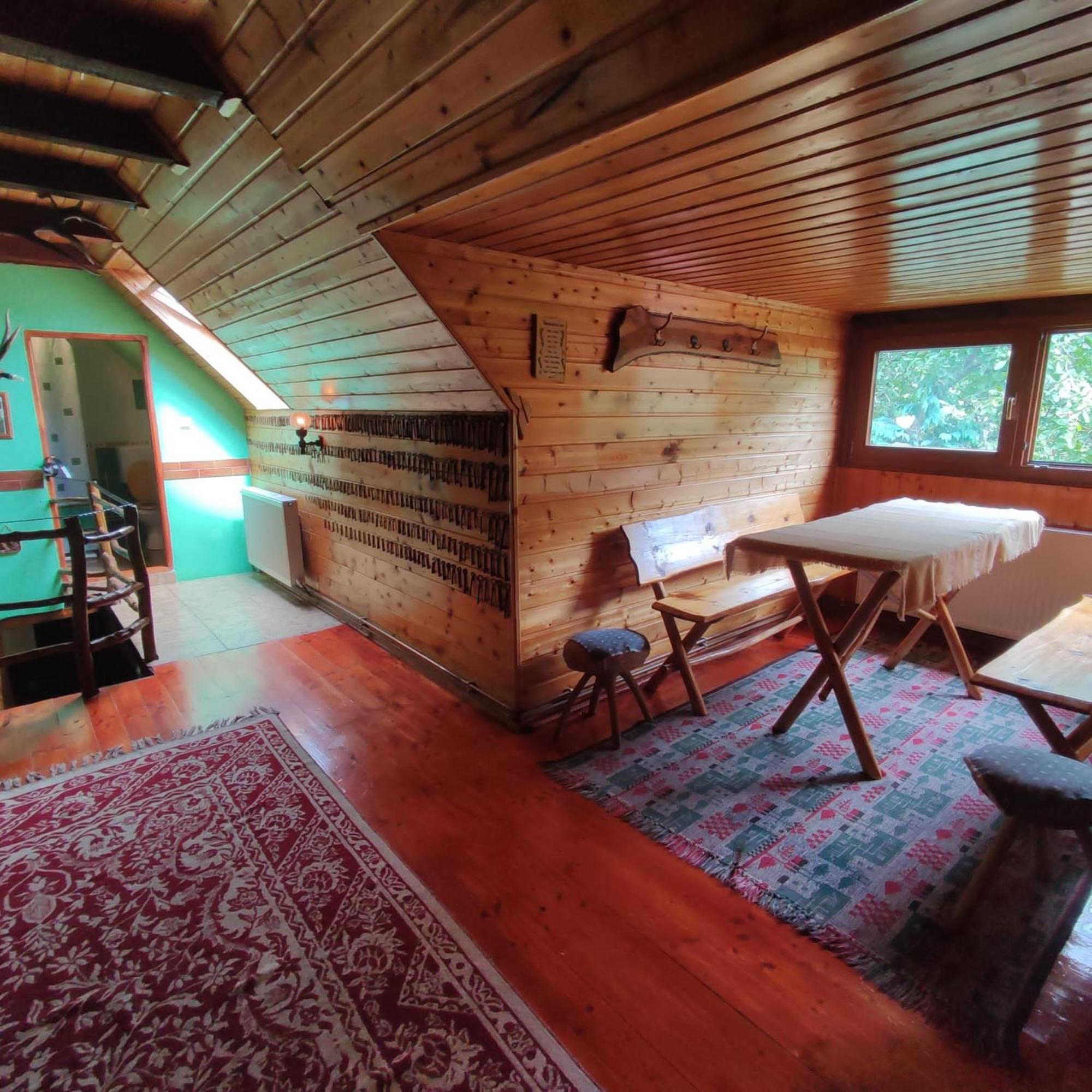 Casa De Vacanta Vidrighin Rau Sadului Værelse billede