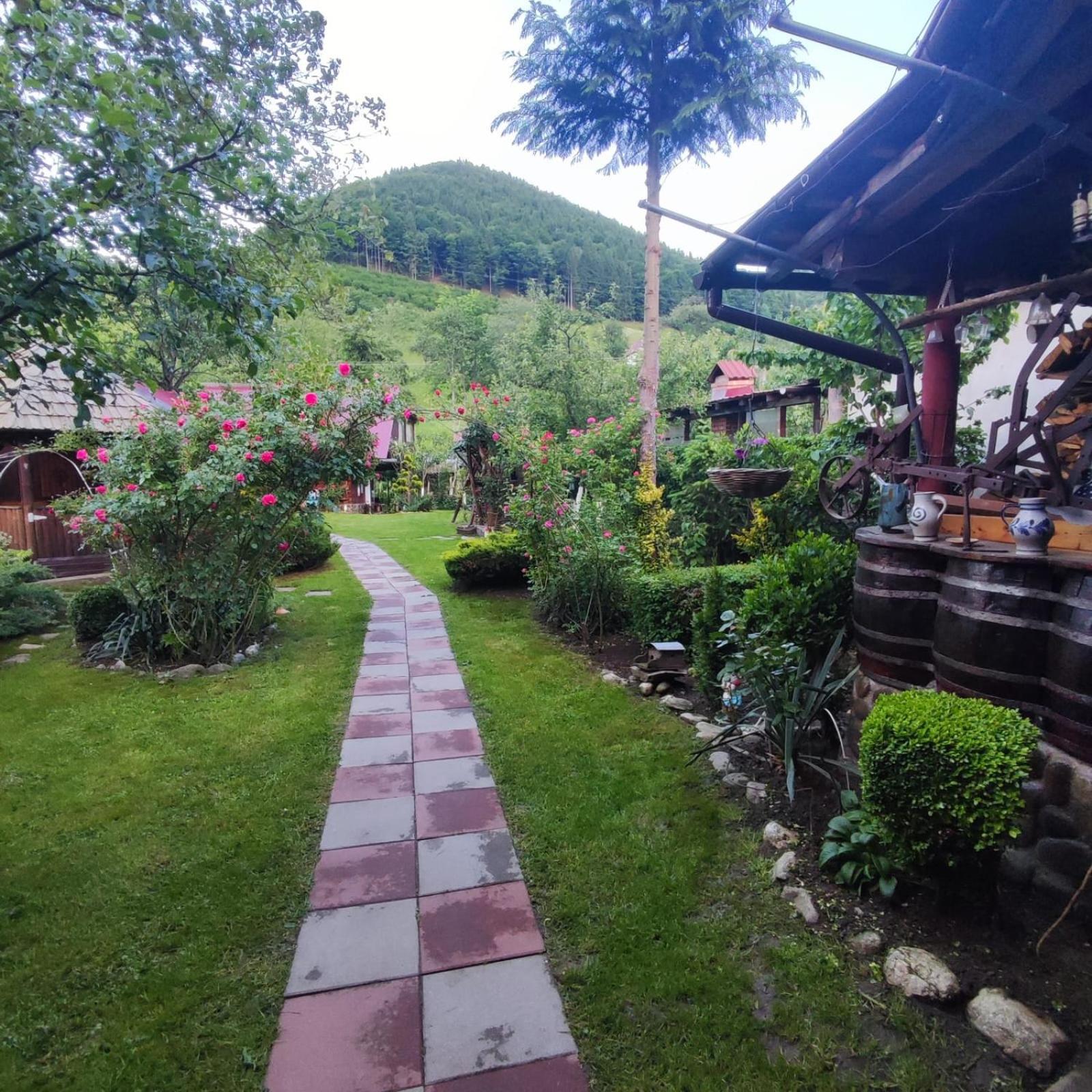 Casa De Vacanta Vidrighin Rau Sadului Værelse billede