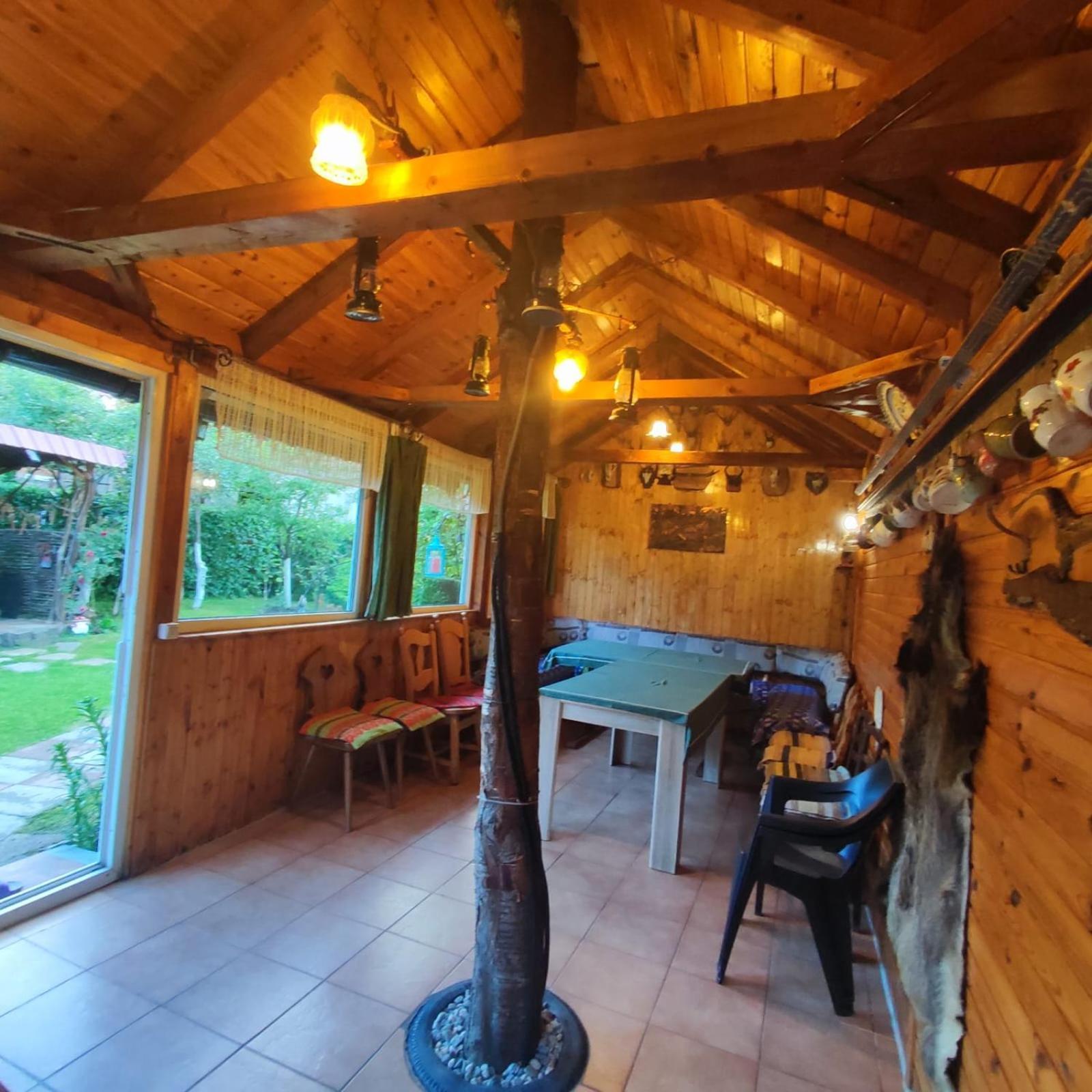 Casa De Vacanta Vidrighin Rau Sadului Værelse billede