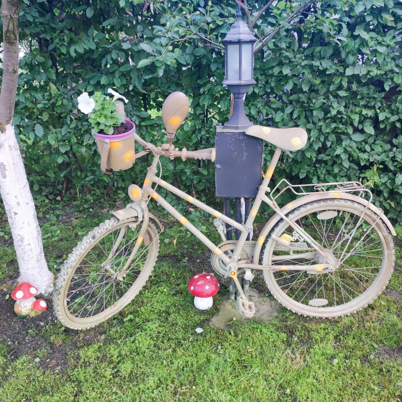 Casa De Vacanta Vidrighin Rau Sadului Værelse billede