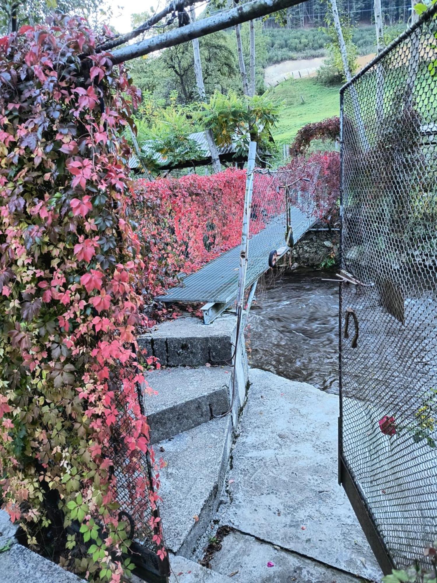 Casa De Vacanta Vidrighin Rau Sadului Værelse billede