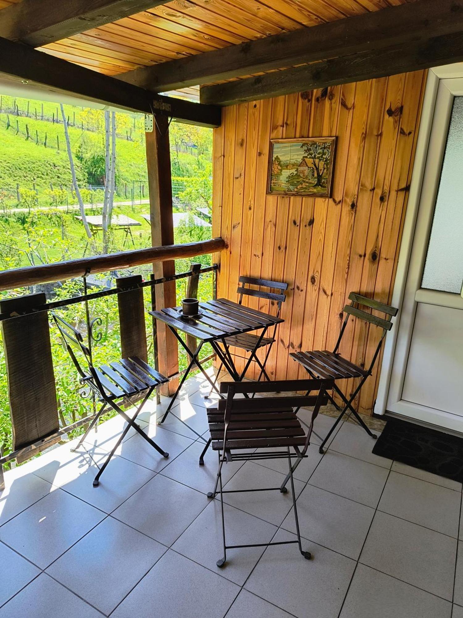 Casa De Vacanta Vidrighin Rau Sadului Værelse billede
