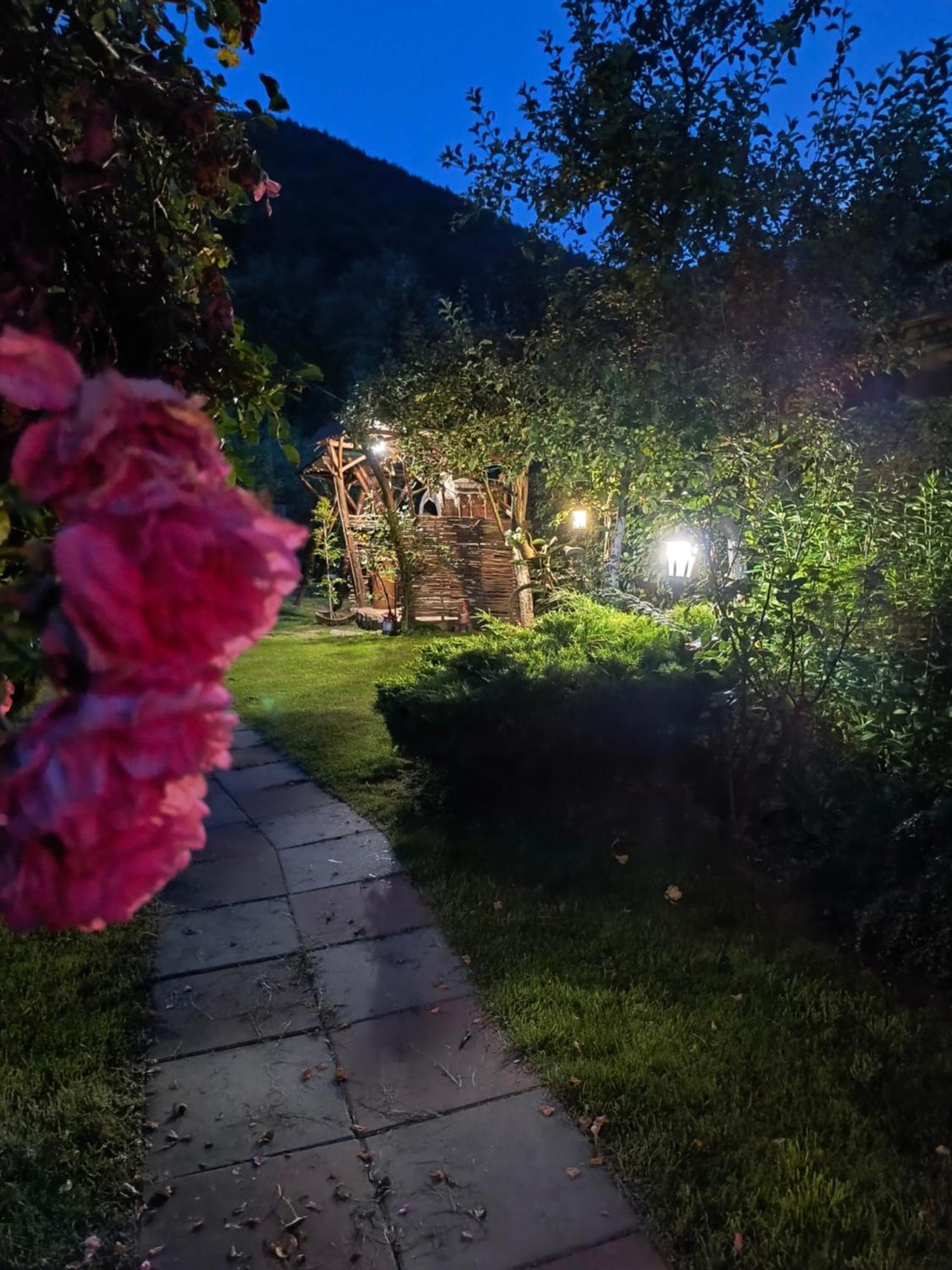 Casa De Vacanta Vidrighin Rau Sadului Værelse billede