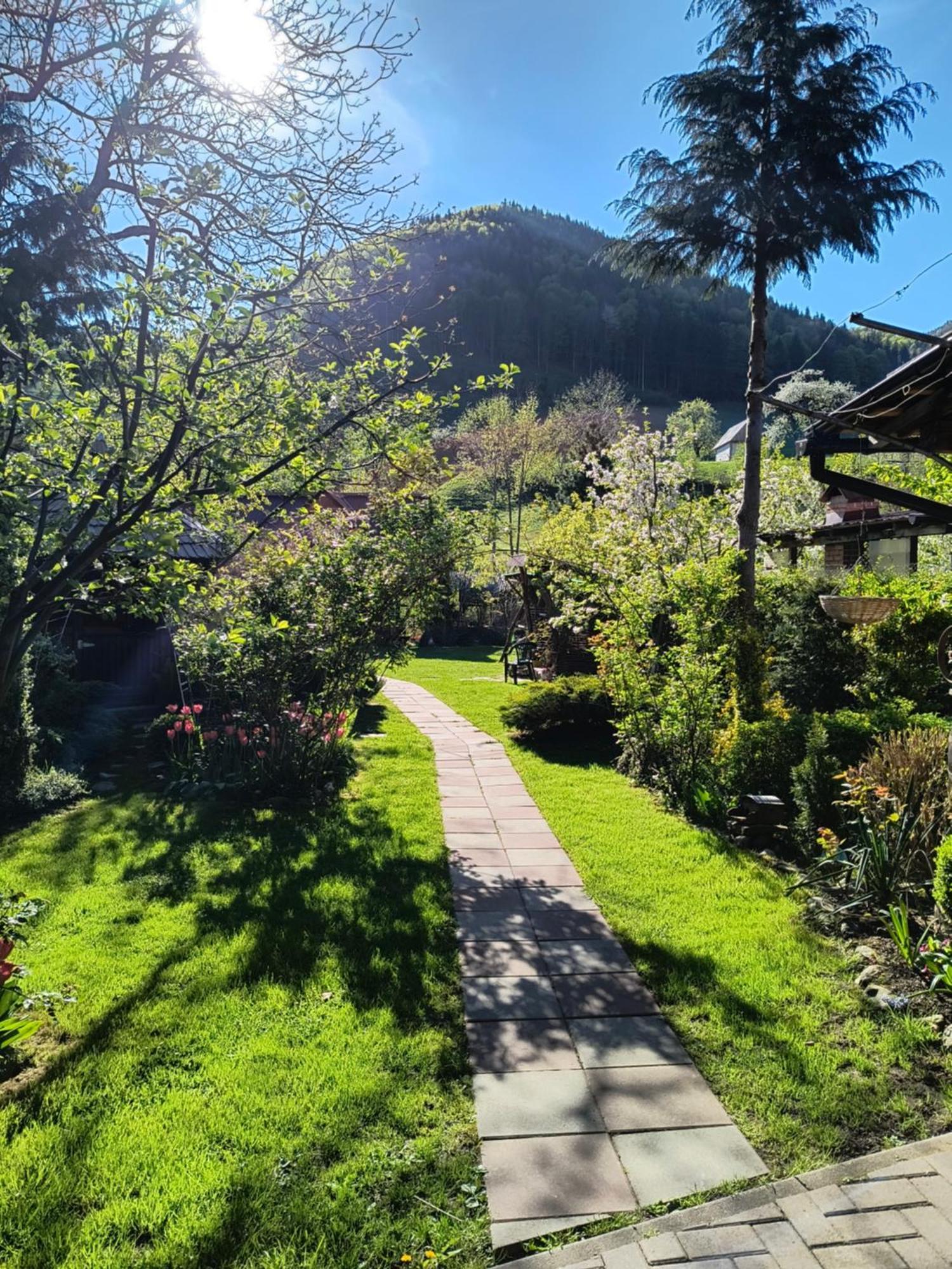 Casa De Vacanta Vidrighin Rau Sadului Eksteriør billede