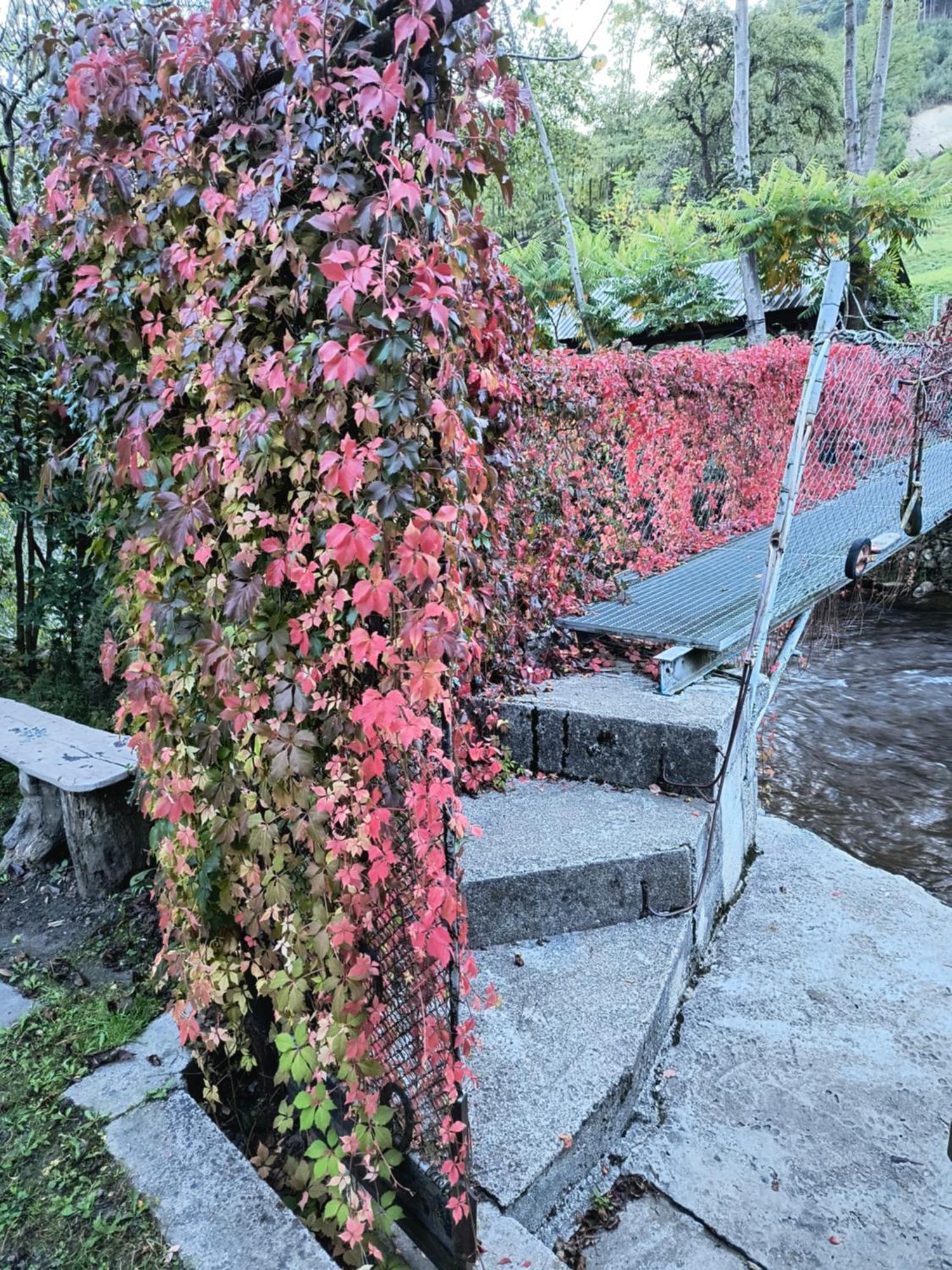 Casa De Vacanta Vidrighin Rau Sadului Eksteriør billede